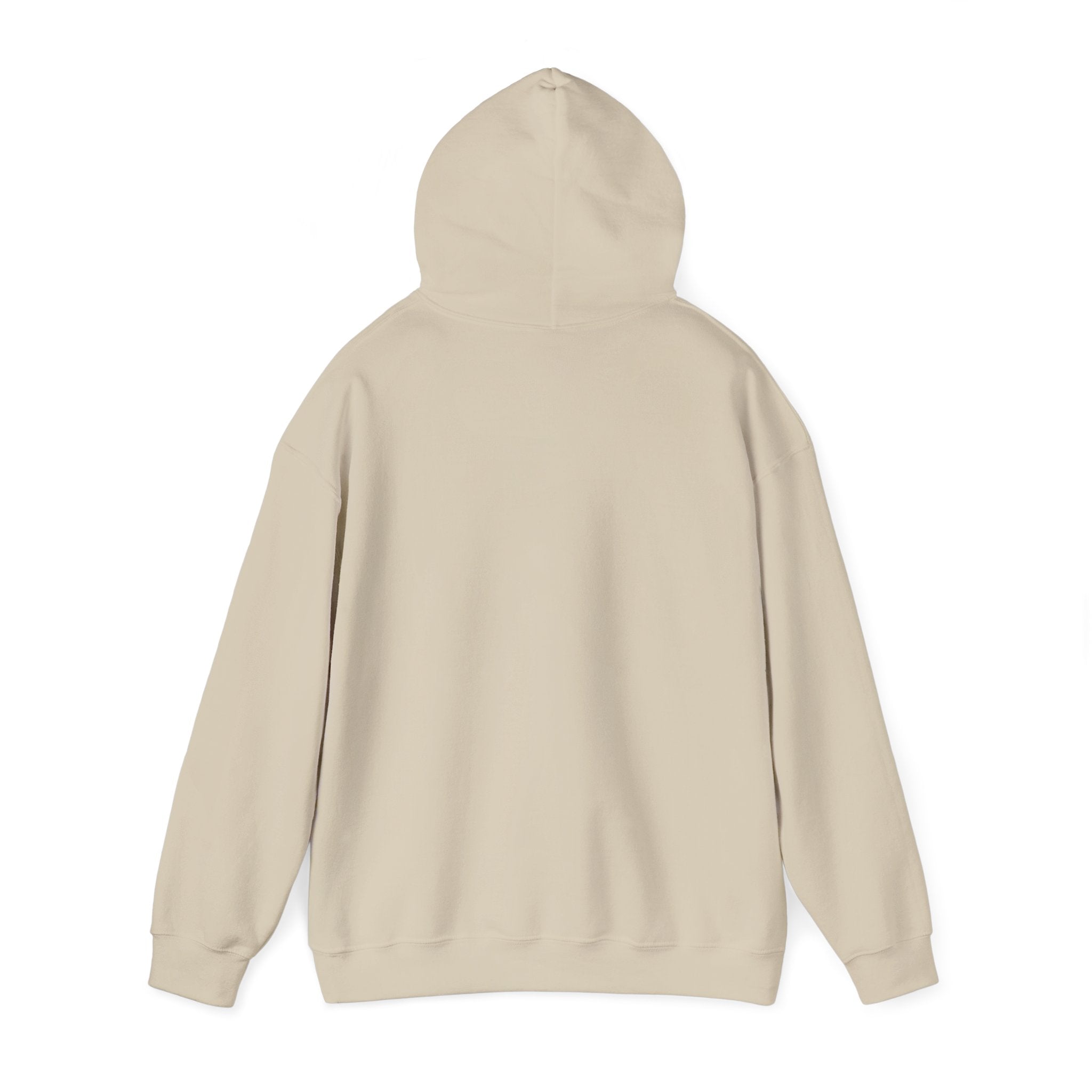 Sand Bar Coast Wave Hoodie
