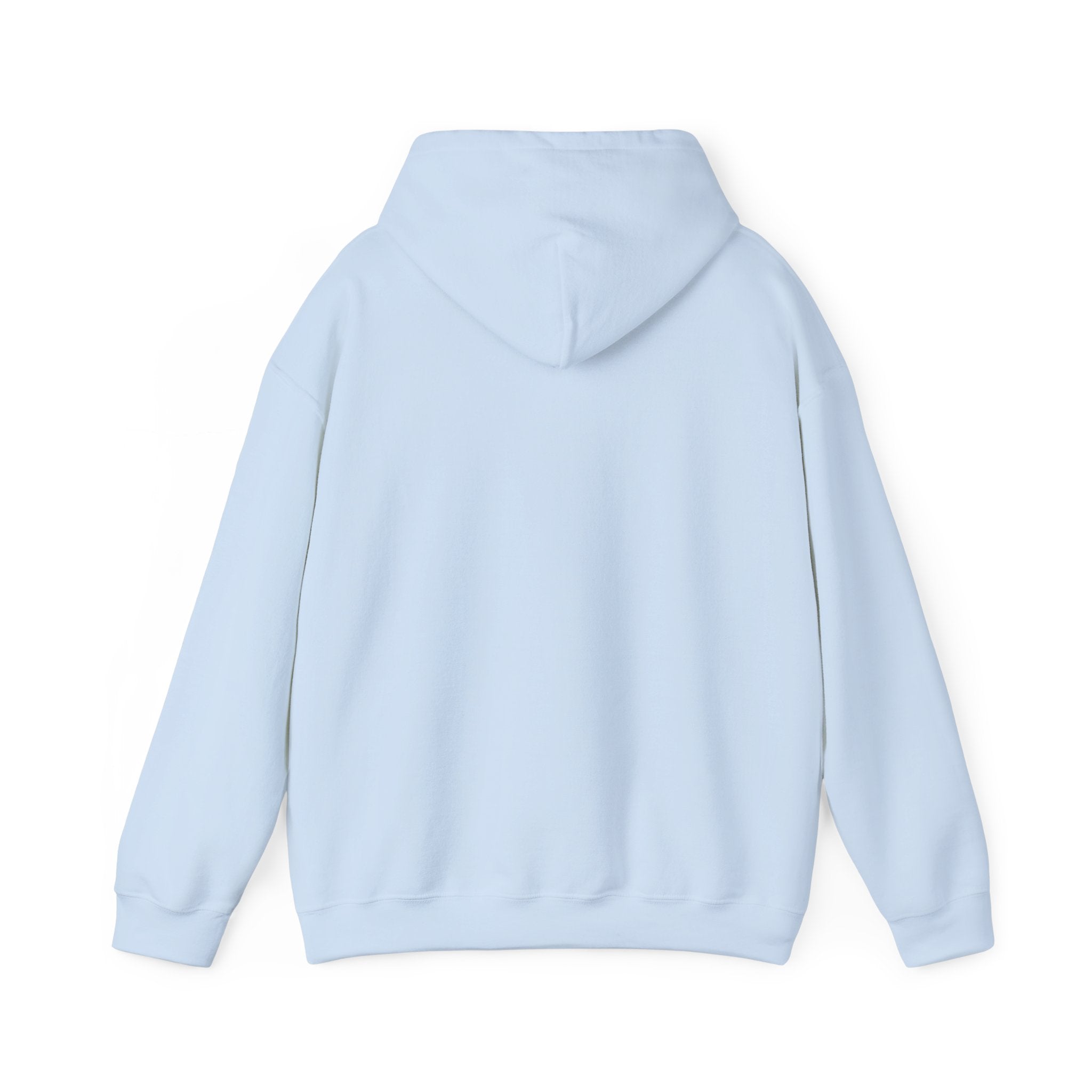 Sand Bar Coast Wave Hoodie