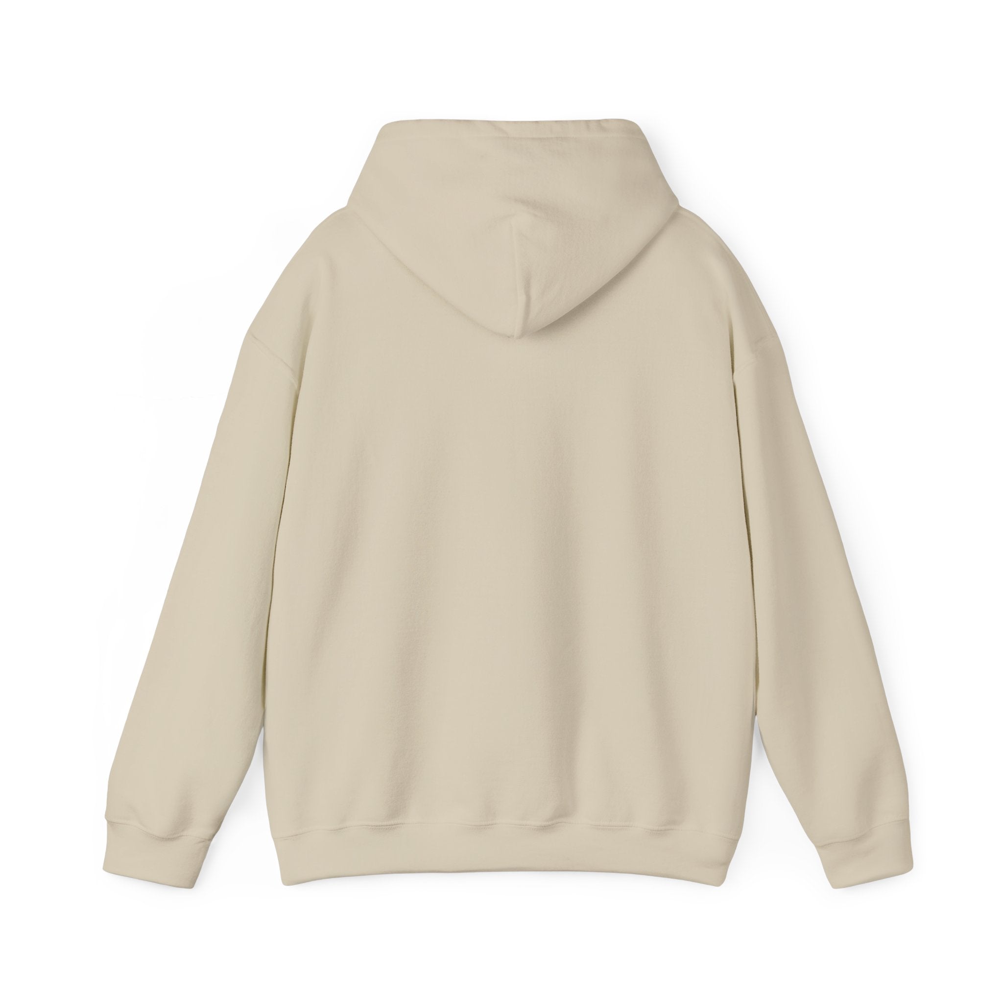 Sand Bar Coast Wave Hoodie