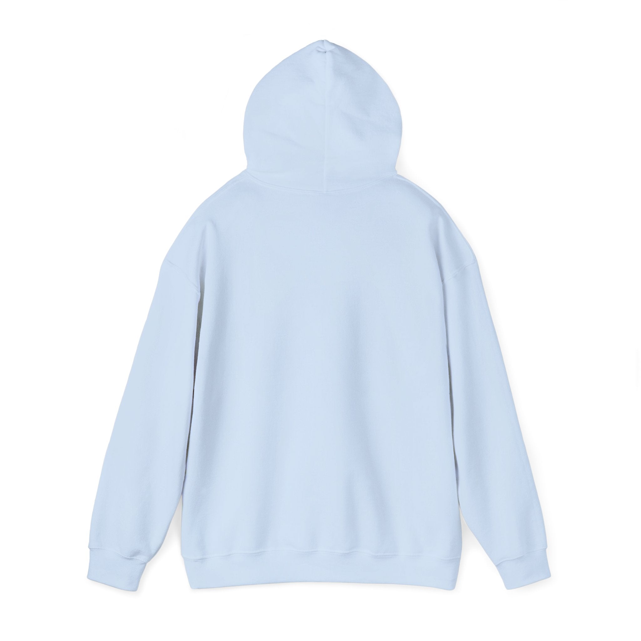 Sand Bar Coast Wave Hoodie