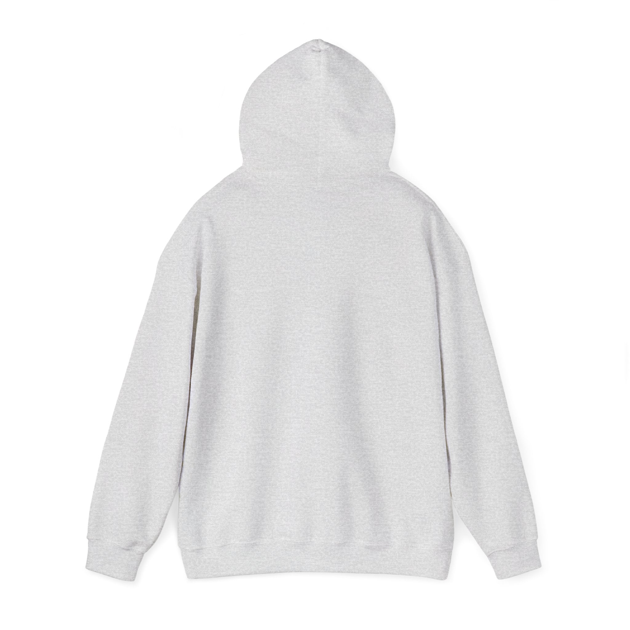 Sand Bar Coast Wave Hoodie