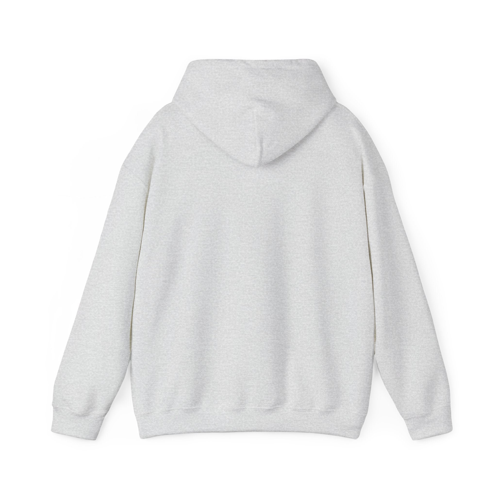 Sand Bar Coast Wave Hoodie